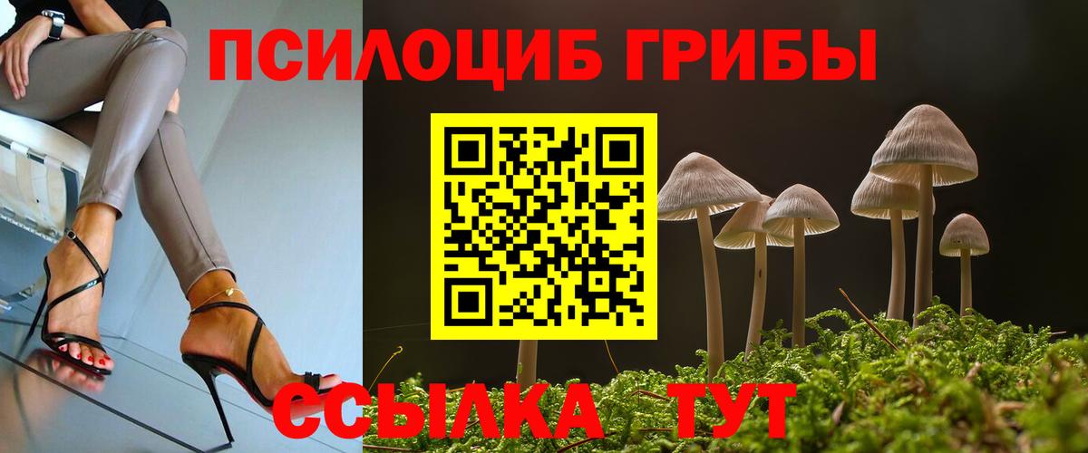 Псилоцибиновые грибы прущие грибы  магазин  наркотиков  Тверь  Галлюциногенные грибы ЛСД  Вход с VPN 